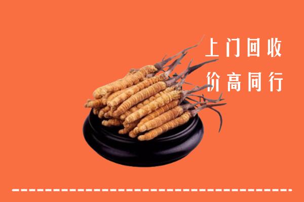 高价求购：眉山市仁寿县回收散虫草
