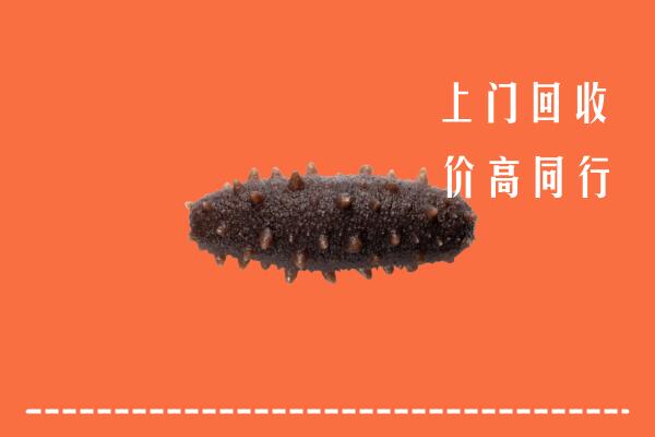 眉山市仁寿县回收海参