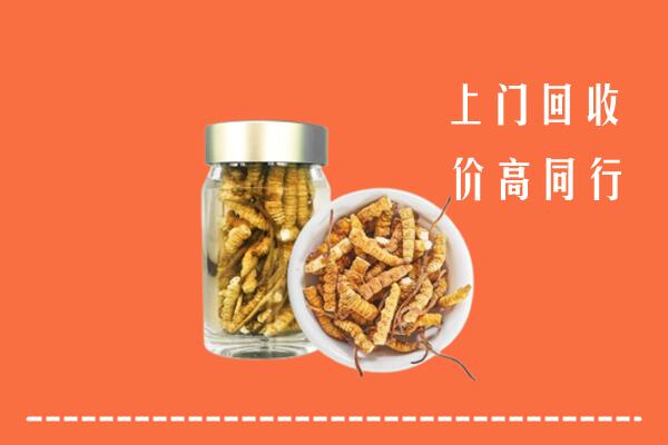 眉山市仁寿县回收冬虫夏草